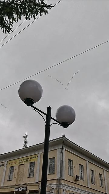 Пролетающий клин шумных соседей смотреть онлайн