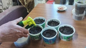 Запекла леща,фундамент под мангал.