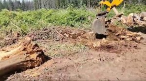 Выкорчевывание пней деревьев экскаватором-погрузчиком JCB от компании «Строй Логистик Групп»