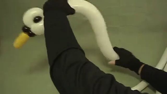 How To Make A Large Balloon Swan With A Heart Tail By Stretch The Balloon Dude