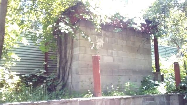 Заброшенное кафе и ещё один корпус смотреть онлайн