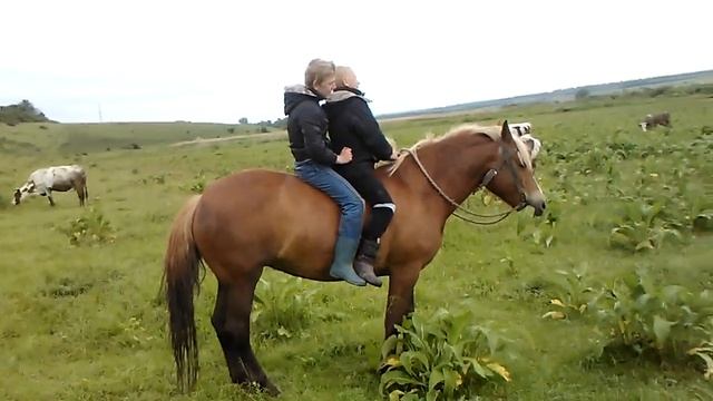 Покатушки на лошади смотреть онлайн