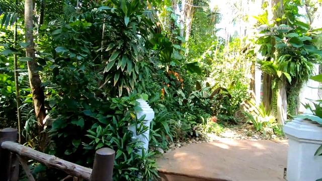 Дорога от отеля Peach Hill Hotel & Resort 4* на пляж Карон, Пхукет, Таиланд