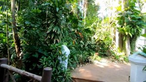 Дорога от отеля Peach Hill Hotel & Resort 4* на пляж Карон, Пхукет, Таиланд