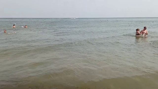 Счастливцево. Медузи прийшли. Водорості також! 07.08.2021р. смотреть онлайн