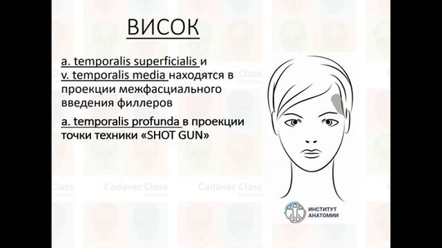 Опасные зоны лица смотреть онлайн