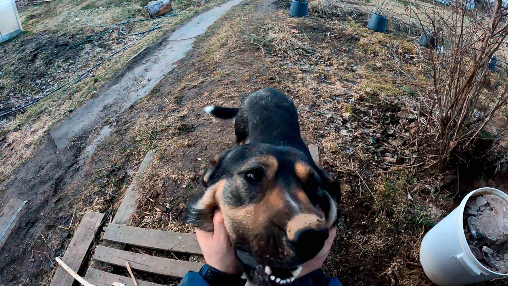 Начинаем снимать...