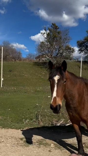 Горы / путешественники/#путешествия #мем #природа #nature #горы #travel #мезмай смотреть онлайн