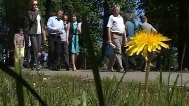 Перспективы развития череповецких парков смотреть онлайн