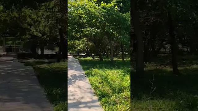Скорняково-Архангельское. Съемка на Honor ELI NX 9 смотреть онлайн