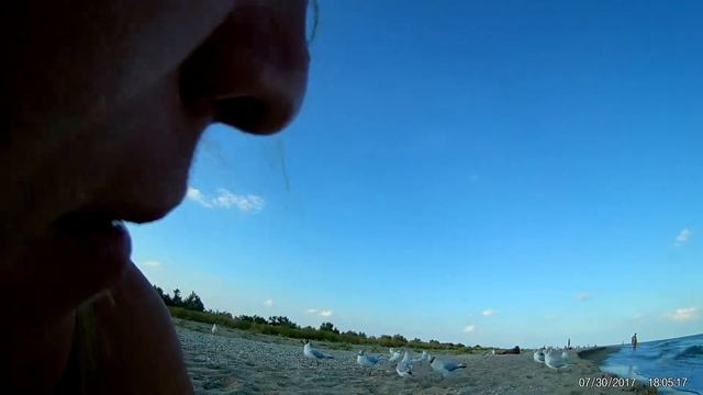 Чайка блатная.)) Бердянск 2017 смотреть онлайн