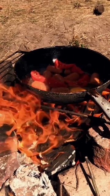 А вы любите отдых с палатками? 🏕️ #отдыхспалаткой #кемпинг #хайкинг #палатки #палаточныйлагерь смотреть онлайн