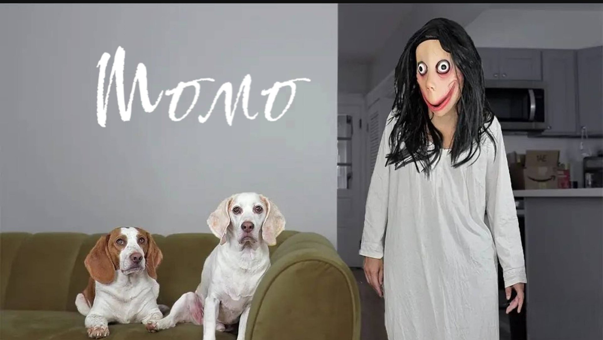 Собачки страшилки против Момо