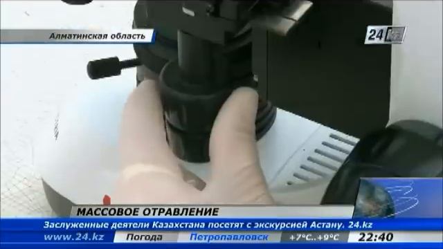 Свадьба в Алматинской области обернулась массовым отравлением смотреть онлайн