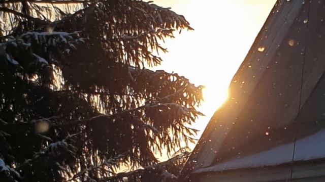 Окуневая заимка