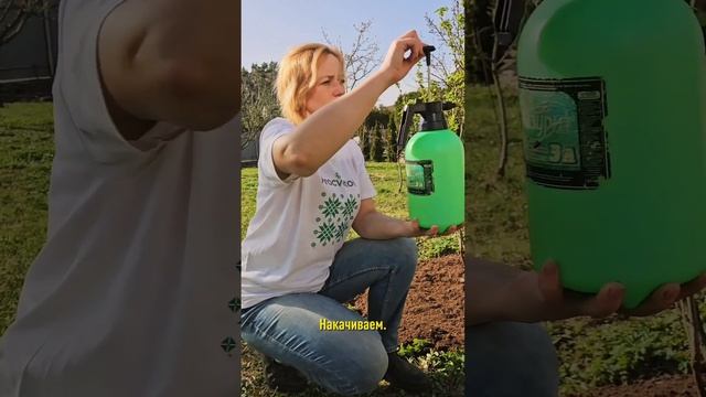 Красные волдыри на листьях смородины и крыжовника? Это не болезнь, а коварный вредитель! смотреть онлайн