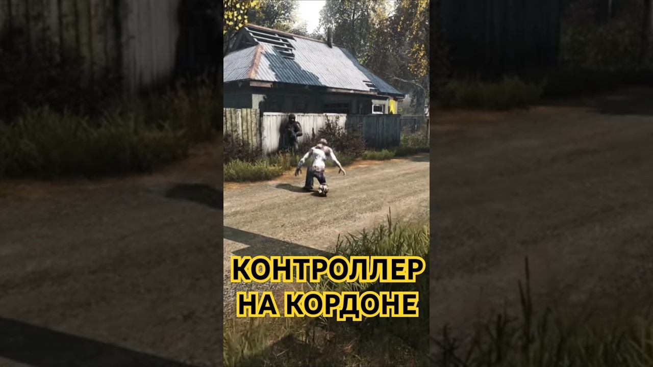КОНТРОЛЛЕР ПРИШЕЛ НА КОРДОН #dayz #stalker #stalker #rp #сталкер #dayzmod #survival #дэйз