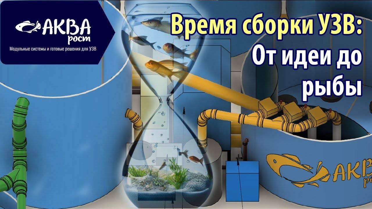 Сколько времени нужно на сборку УЗВ #бизнесвдеревне #рыба #узв #система