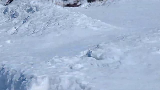 улёт из села мужи вертолёта авиакомпания Ямал смотреть онлайн