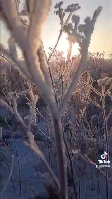 Зимняя красота😍💓 смотреть онлайн