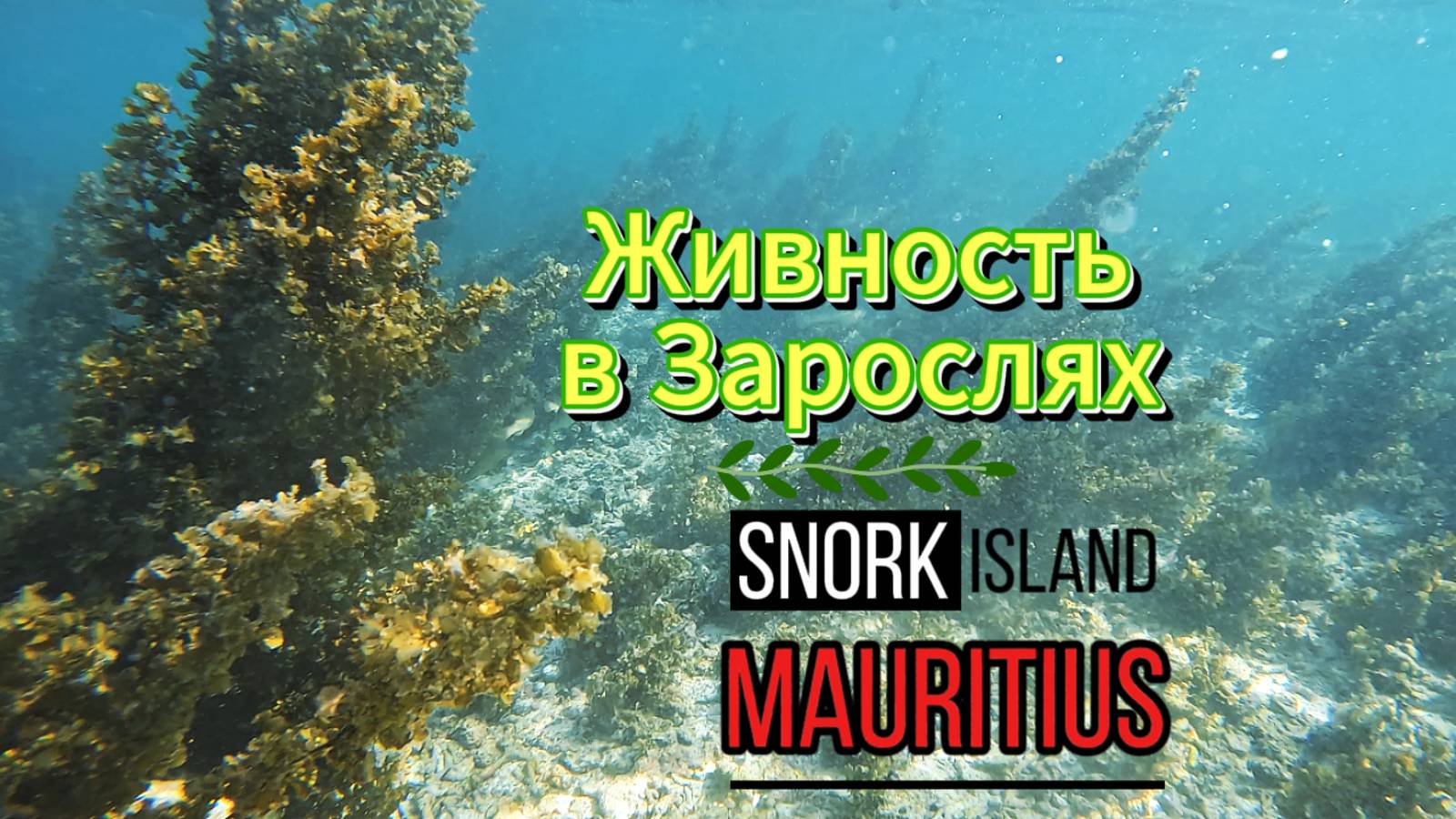 Живность в зарослях