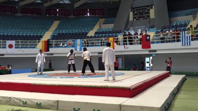 2015 Международный китайский Чемпионат по куошу - Чемпион Мирзоян Роберт против 林修文 раунд3 смотреть онлайн