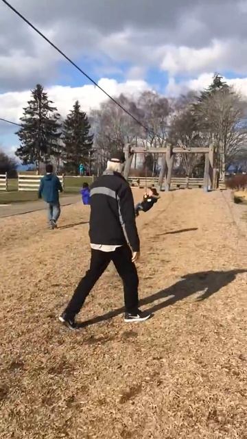 Terra Nova Park Feb 2017