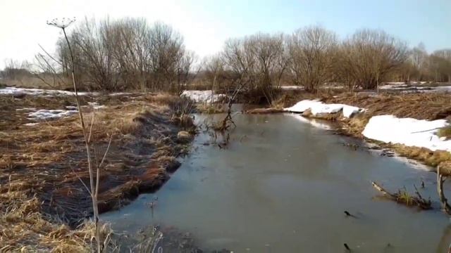 Полевая дорога в д. Кучино и колонию N 36,-бывшую. смотреть онлайн