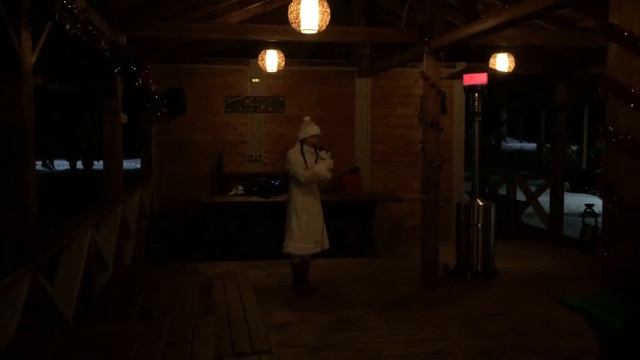 Новый 2015 год на базе отдыха "Рыбачий берег" смотреть онлайн