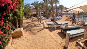 Отдых в Египте | Обзор пляжа отеля Lido Sharm | Апрель 2024 | Часть 16-я.