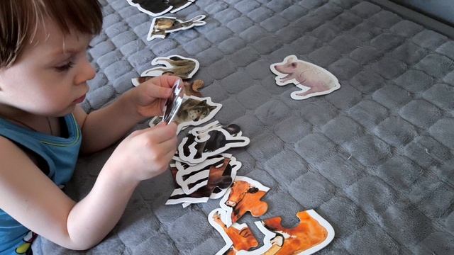 ПОЛУЧИЛИ КАРТОЧКИ С ДОМАШНИМИ ЖИВОТНЫМИ / РАЗЛИЧАЕМ ДОМАШНИХ И ДИКИХ ЖИВОТНЫХ