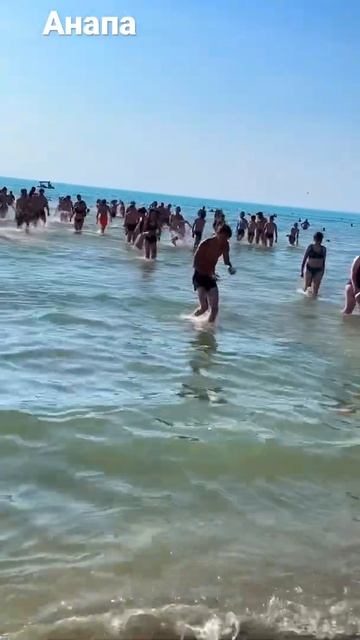 #толпы #отдых #2022 смотреть онлайн