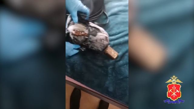 В Кузбассе расследовано уголовное дело в отношении 13 участников преступного сообщества смотреть онлайн