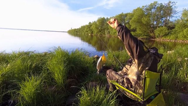 Рыбалка на Московском море| Лещ на фидер и поплавок| Тверская область Иваньковское водохранилище| смотреть онлайн