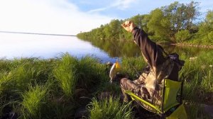 Рыбалка на Московском море| Лещ на фидер и поплавок| Тверская область Иваньковское водохранилище|