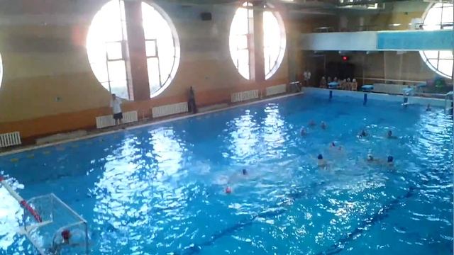 Соревнования по водному поло МОСКВА смотреть онлайн