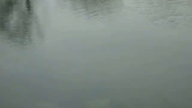 С.Большетроицкое Шебекинский район смотреть онлайн