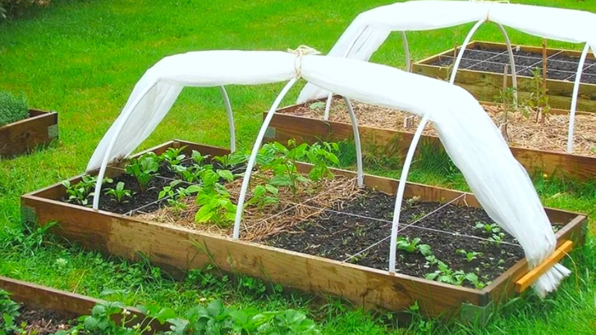 ПАРНИК СВОИМИ РУКАМИ самые лучшие проекты смотреть онлайн