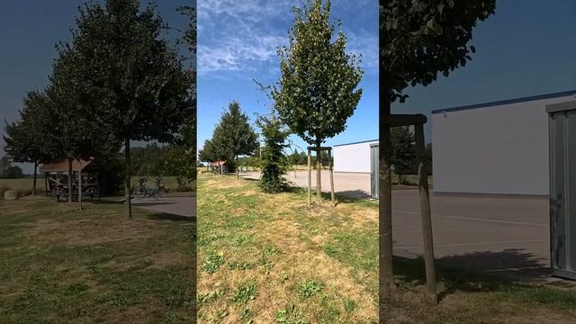 Уникальный геотайник в улитке "Helix pomatia"/ 80км велоутр/ Геокэшинг / Германия смотреть онлайн
