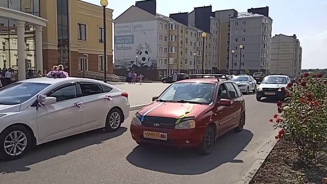 свадьба бобров 16 09 23 смотреть онлайн