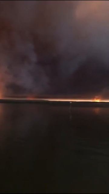 Горит дельта Волги в Астраханской области смотреть онлайн