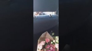 Поездка на такси из аэропорта в отель Шёлковый путь в Армении в Ереване 11 августа 2022 год