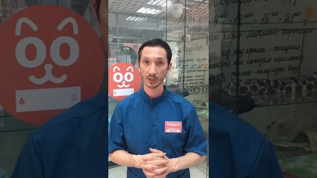 Отзыв о франшизе BookingCat смотреть онлайн