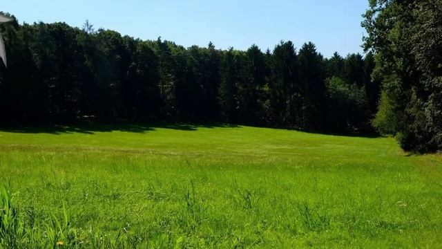 ||пов—на природе|| смотреть онлайн