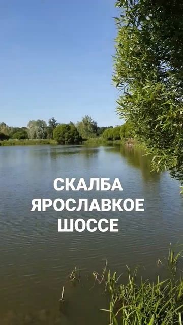 Речка у Ярославки. Московская обл #shortvideo #shorts смотреть онлайн