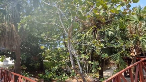 IBEROSTAR TAINOS ВАРАДЕРО/КУБА/2024