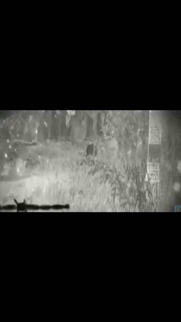 Аркадий Кобяков я уйду не сказав не о чём!!! смотреть онлайн