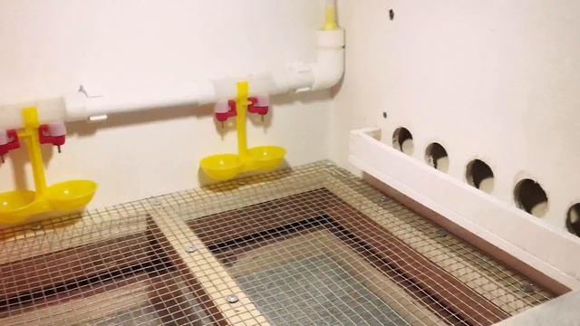 Брудер (цыплятник) своими руками смотреть онлайн