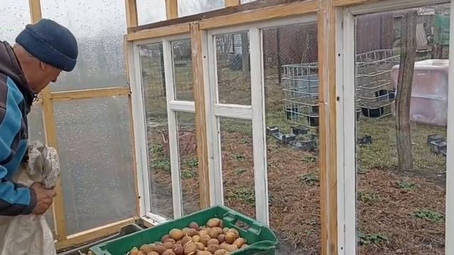 Навели порядок. Родители достали семенной картофель. Папа заливает бетон, а мама сажает капусту смотреть онлайн