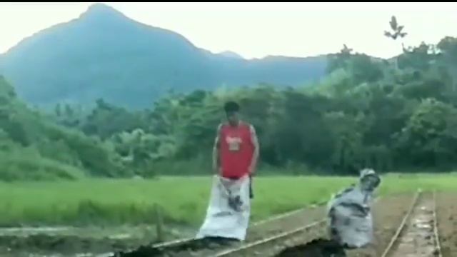 How to collect and apply Organic Fertilizer to your garden. смотреть онлайн